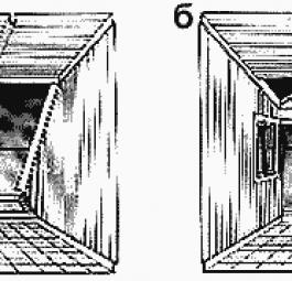 phpThumb_generated_thumbnailjpg (1).jpg